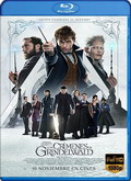 Animales fantásticos: Los crímenes de Grindelwald [MicroHD-1080p]